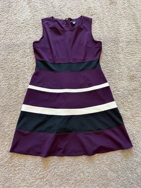Tommy Hilfiger Sleeveless Purple Striped A-Line Dress